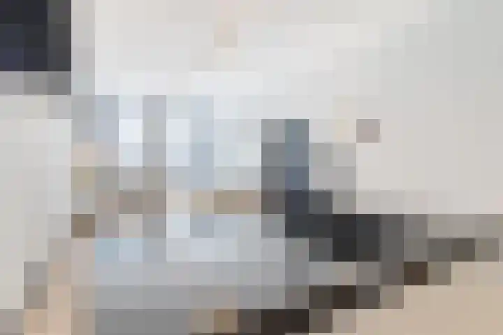 Rijklof van Goensstraat 46 Den Haag thumbnail 15