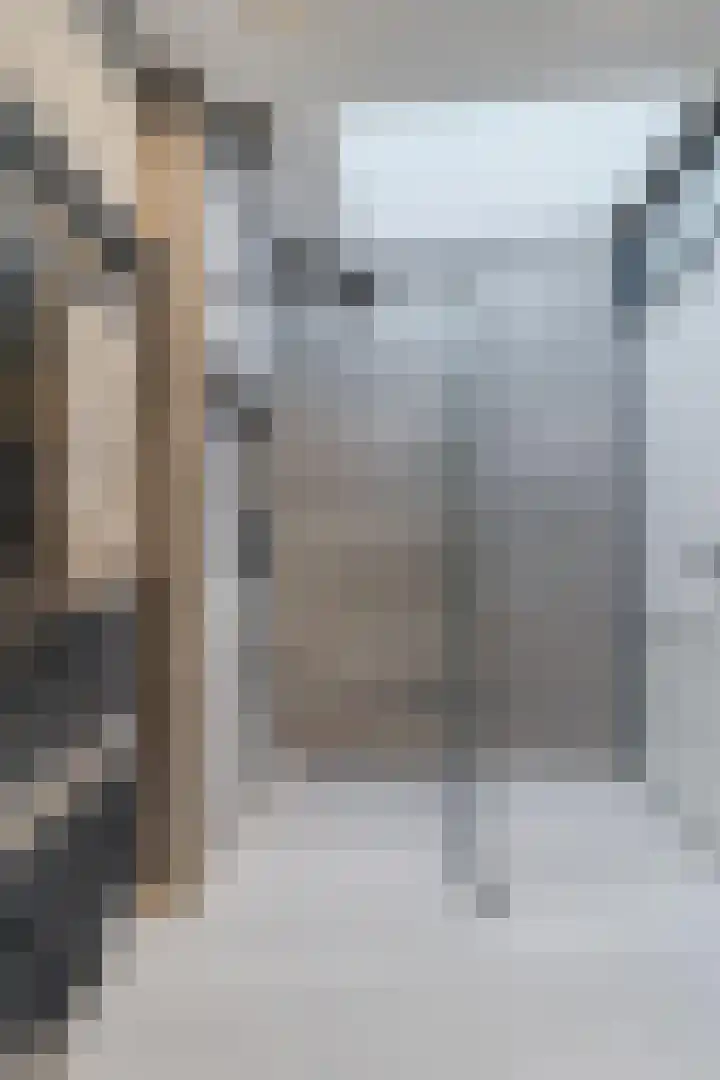 Rijklof van Goensstraat 46 Den Haag thumbnail 29