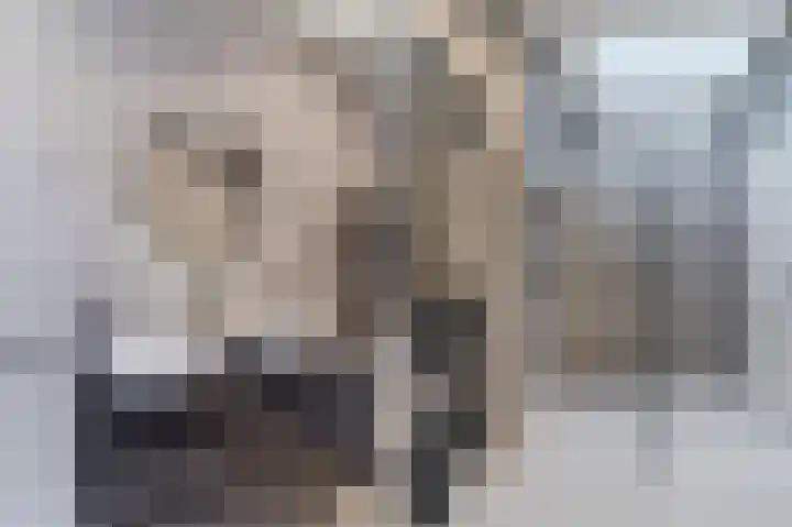 Rijklof van Goensstraat 46 Den Haag thumbnail 30