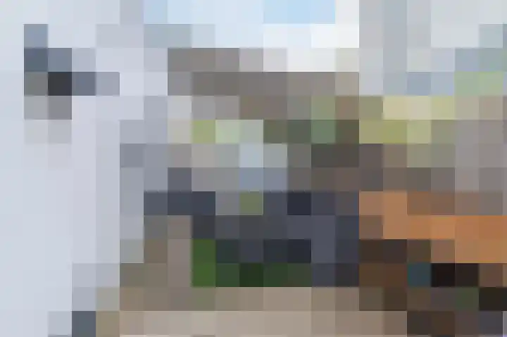 Rijklof van Goensstraat 46 Den Haag thumbnail 31