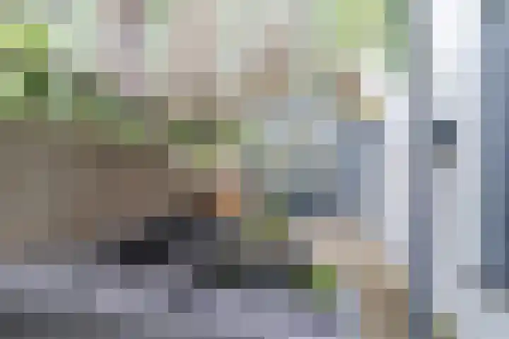 Rijklof van Goensstraat 46 Den Haag thumbnail 32