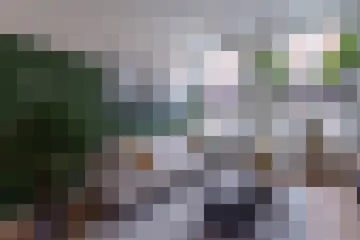 Rijklof van Goensstraat 48 Den Haag thumbnail 11