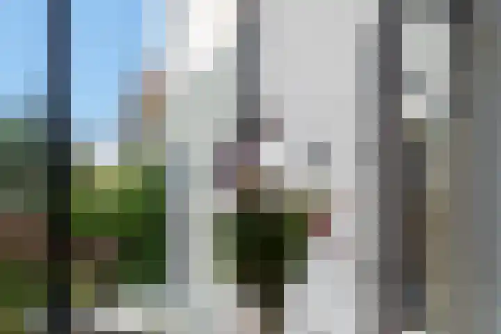 Rijklof van Goensstraat 48 Den Haag thumbnail 12