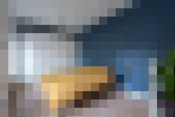 Rijklof van Goensstraat 48 Den Haag thumbnail 17