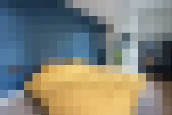 Rijklof van Goensstraat 48 Den Haag thumbnail 18