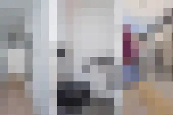 Rijklof van Goensstraat 48 Den Haag thumbnail 19