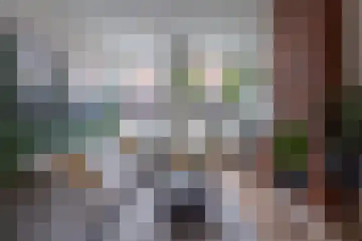 Rijklof van Goensstraat 48 Den Haag thumbnail 22