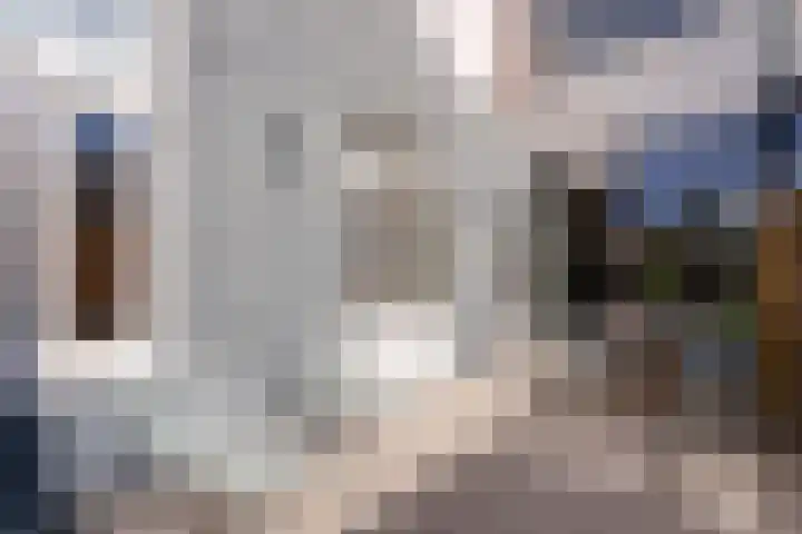 Rijklof van Goensstraat 48 Den Haag thumbnail 4