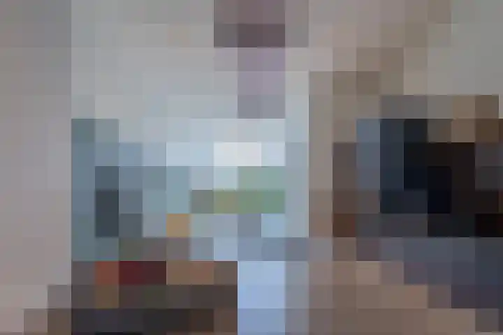 Rijklof van Goensstraat 48 Den Haag thumbnail 8