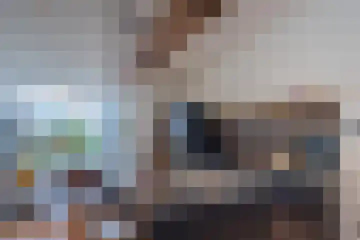 Rijklof van Goensstraat 48 Den Haag thumbnail 9