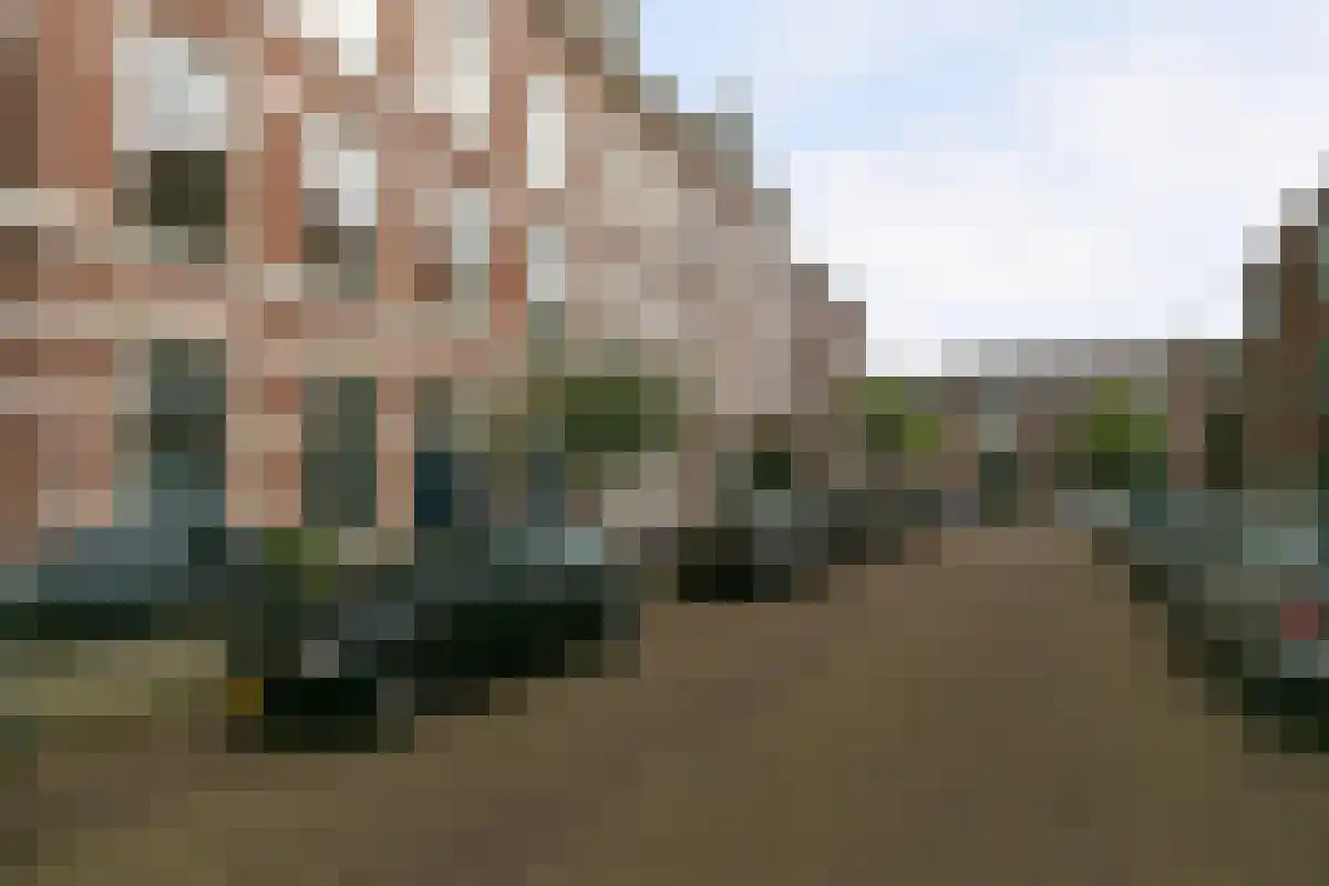 Rijklof van Goensstraat 56 Den Haag foto 2