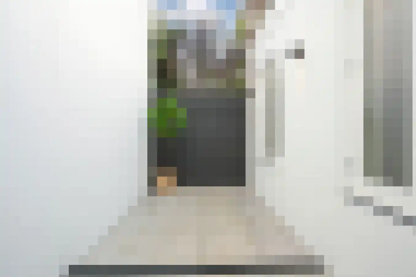 Rijklof van Goensstraat 7 Den Haag thumbnail 20