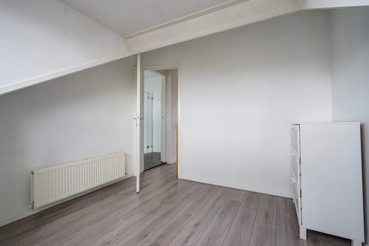 Rijklof van Goensstraat 87 Den Haag thumbnail 30