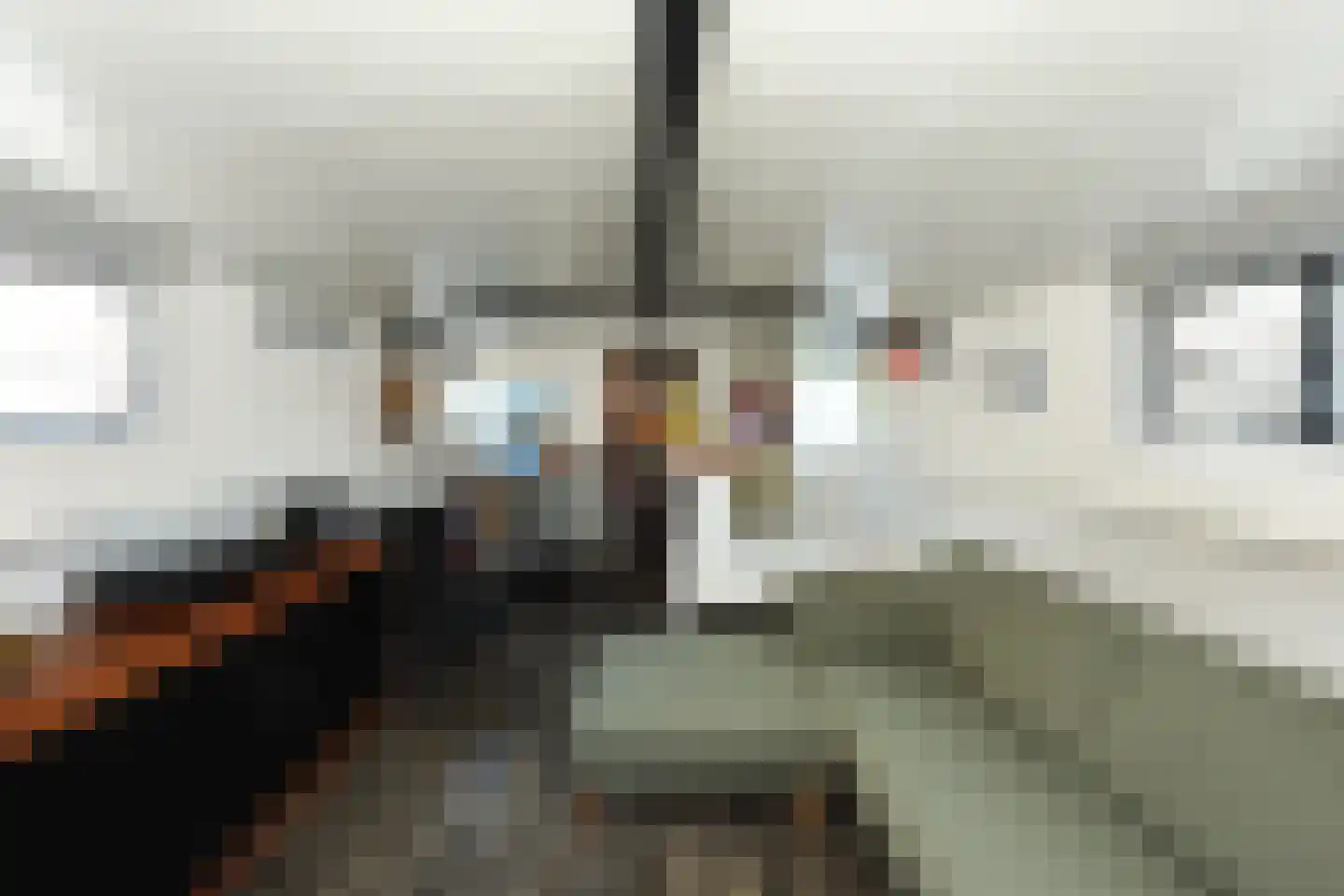 Rijksboom 90 Rotterdam thumbnail 16