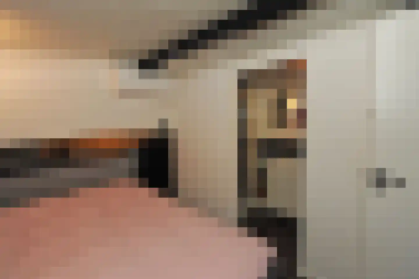 Rijksboom 90 Rotterdam thumbnail 21