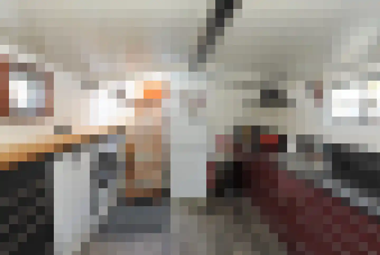 Rijksboom 90 Rotterdam thumbnail 44
