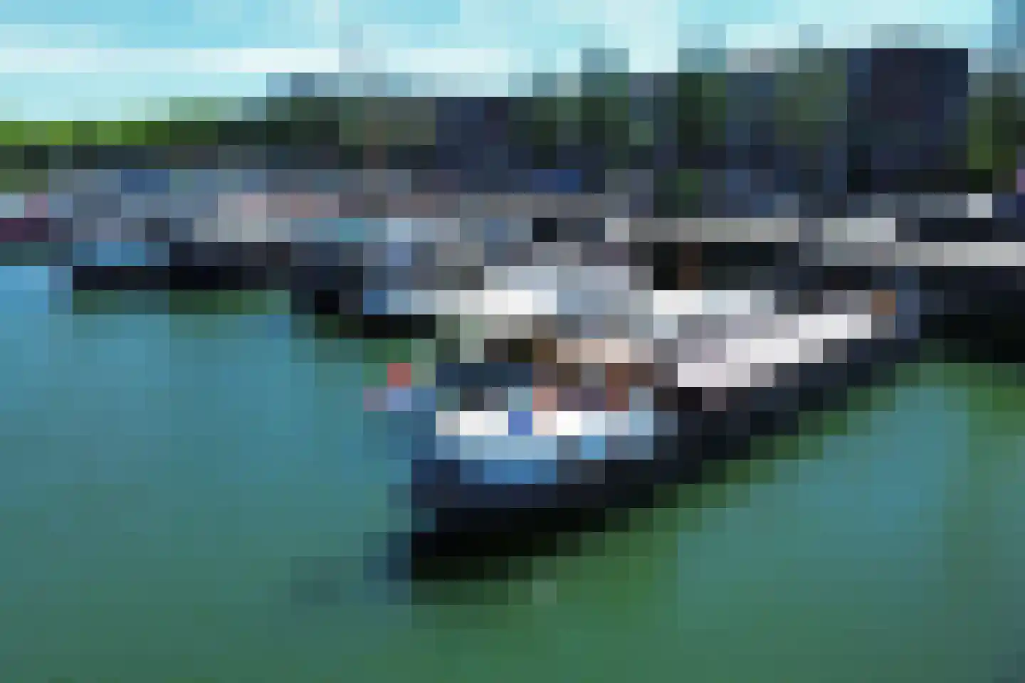 Rijksboom 90 Rotterdam thumbnail 5