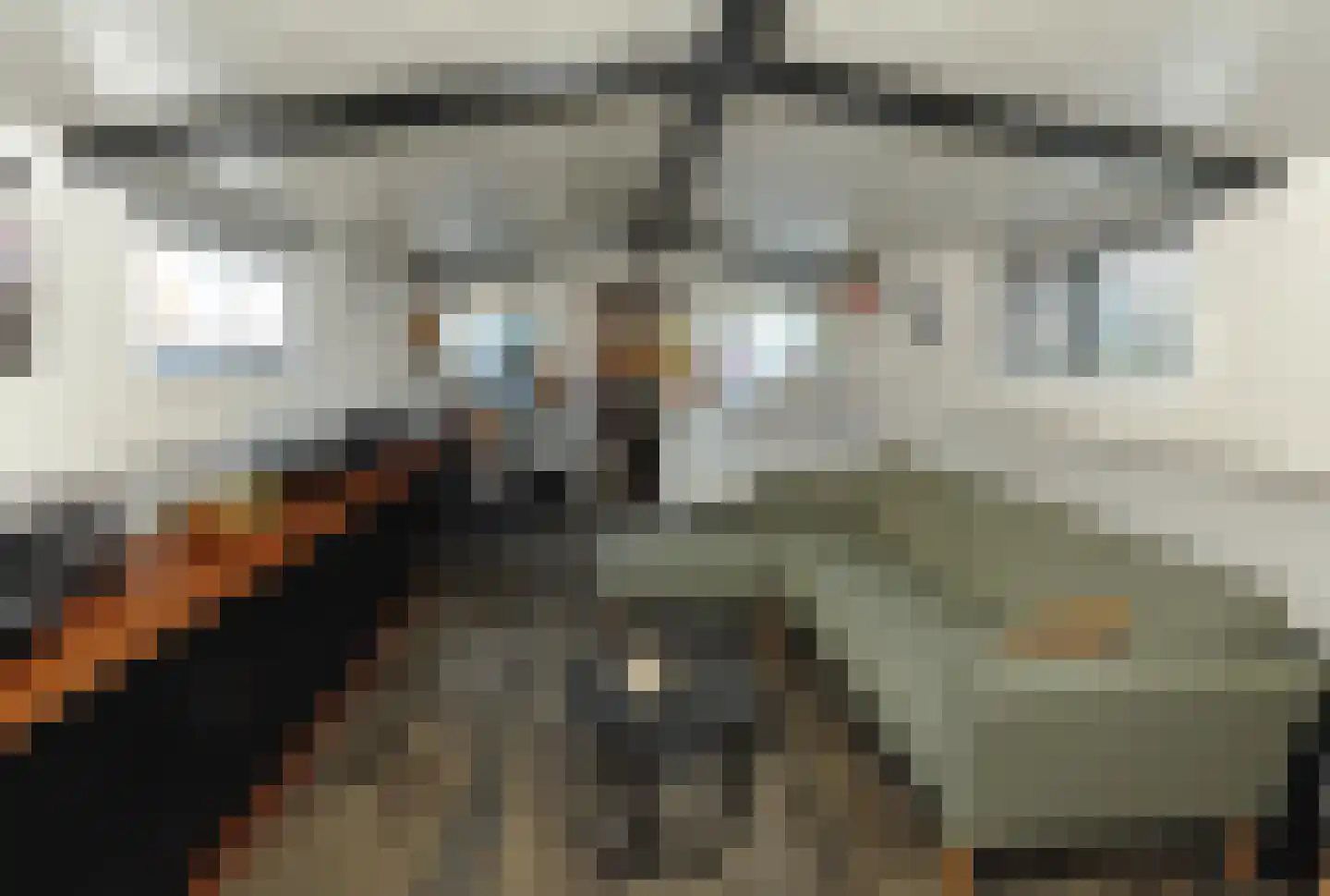 Rijksboom 90 Rotterdam thumbnail 50