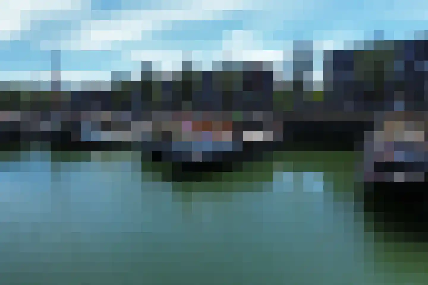 Rijksboom 90 Rotterdam thumbnail 70