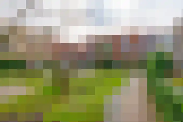 Rijksdaalderpad 6 Utrecht thumbnail 41