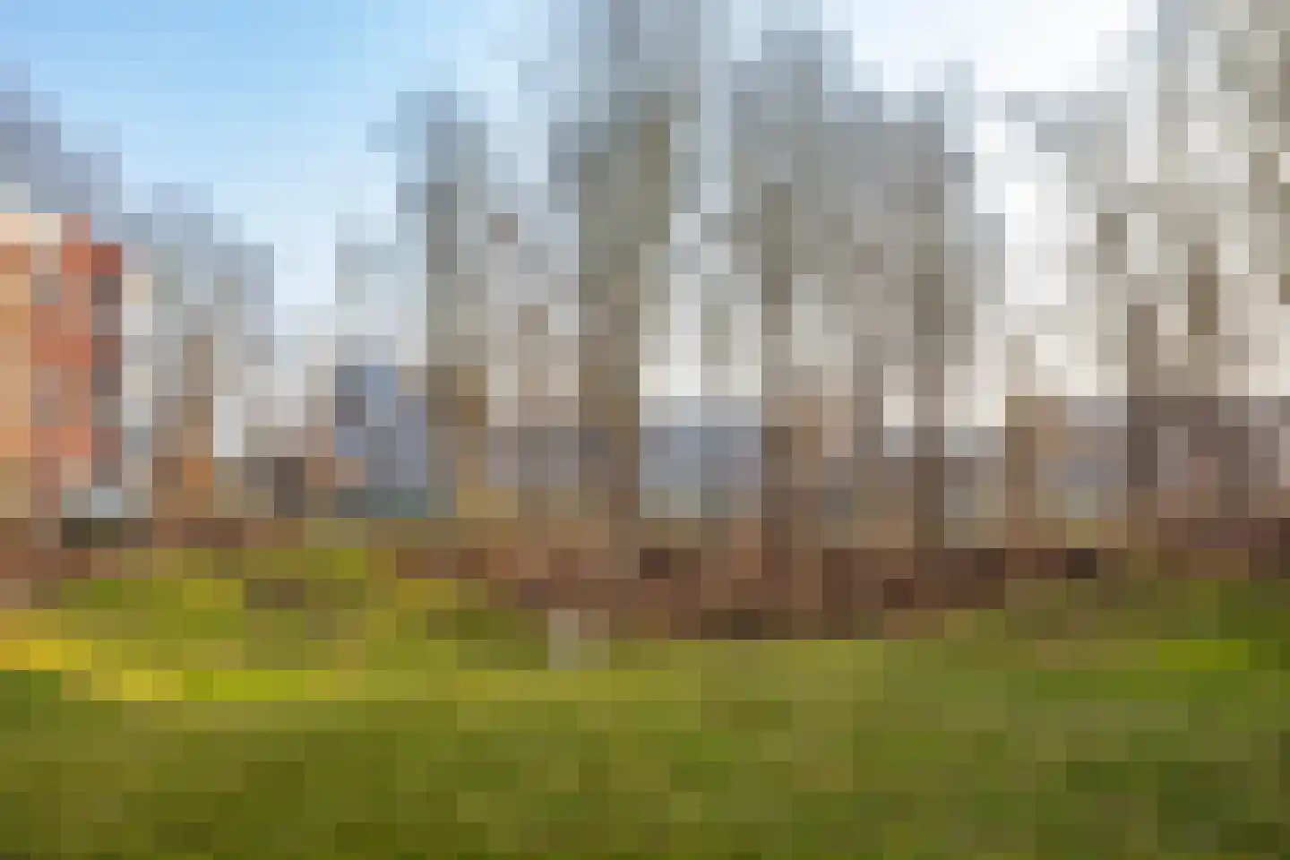 Rijksdaalderplantsoen 17 Utrecht thumbnail 12