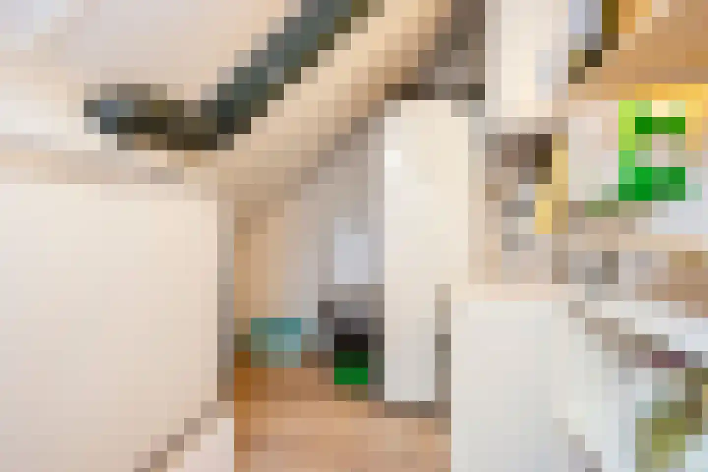 Rijksdaalderplantsoen 17 Utrecht thumbnail 49