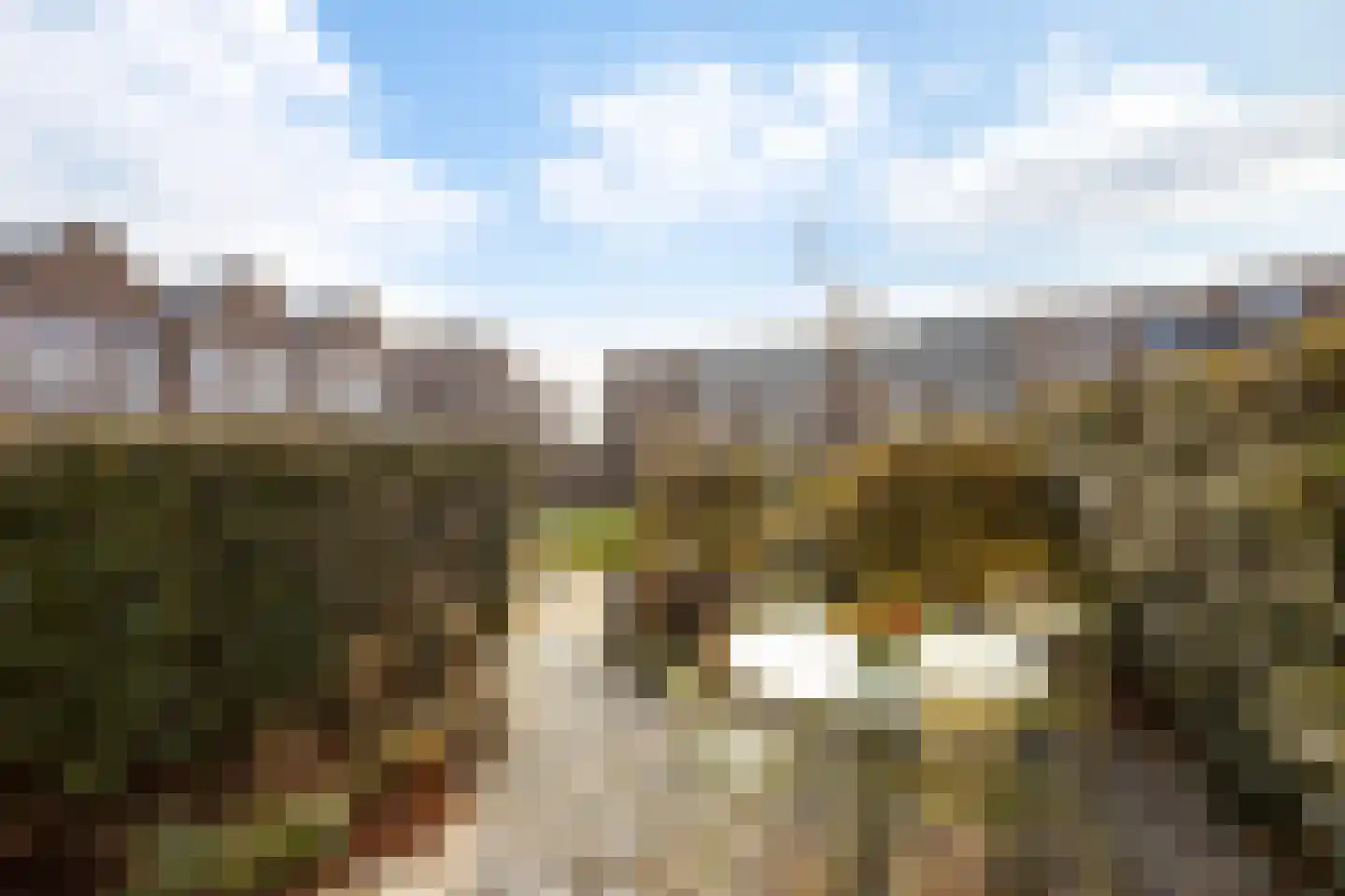 Rijksdaalderplantsoen 17 Utrecht thumbnail 9