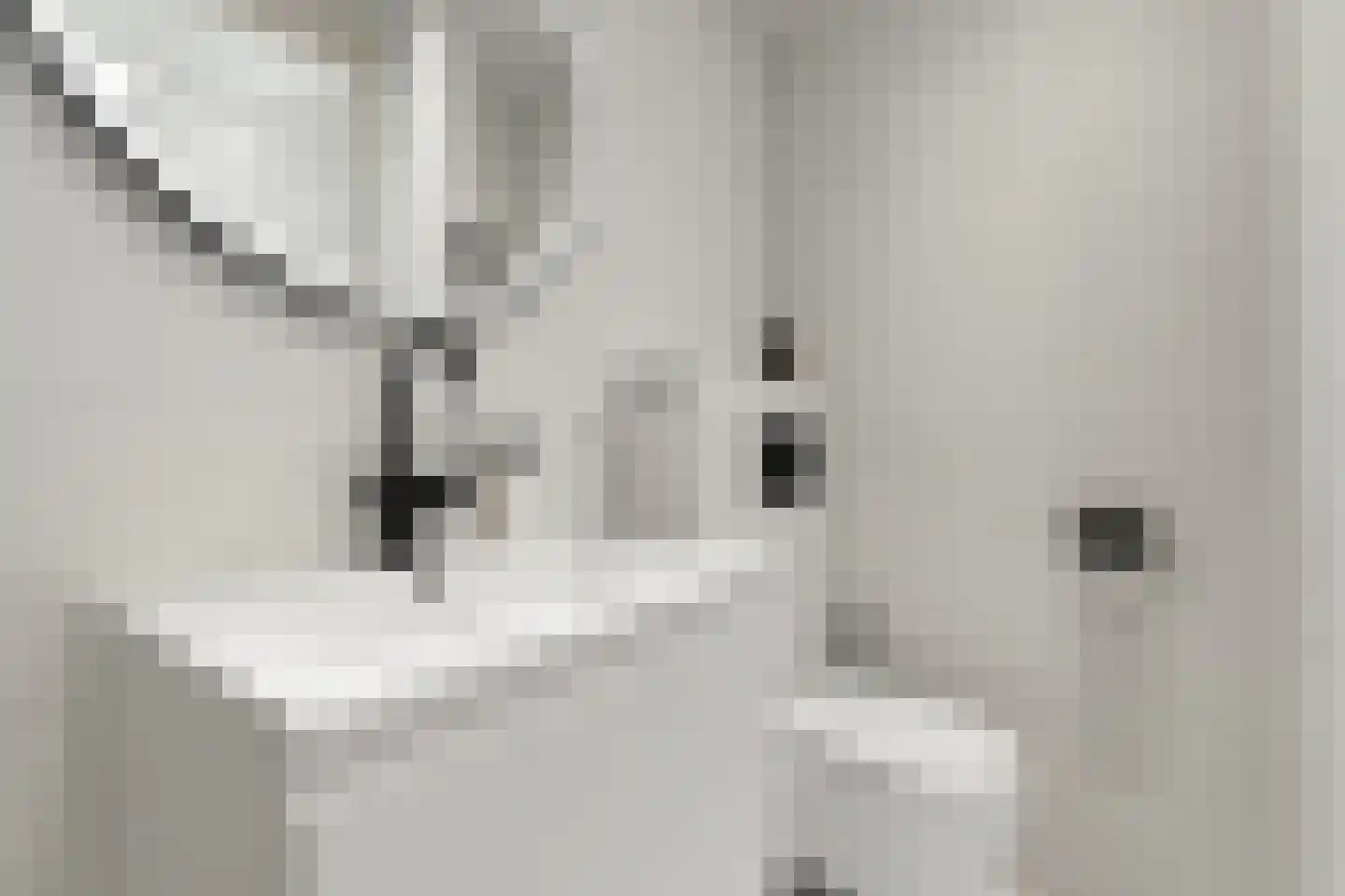 Rijksdaalderplantsoen 24 Utrecht thumbnail 24