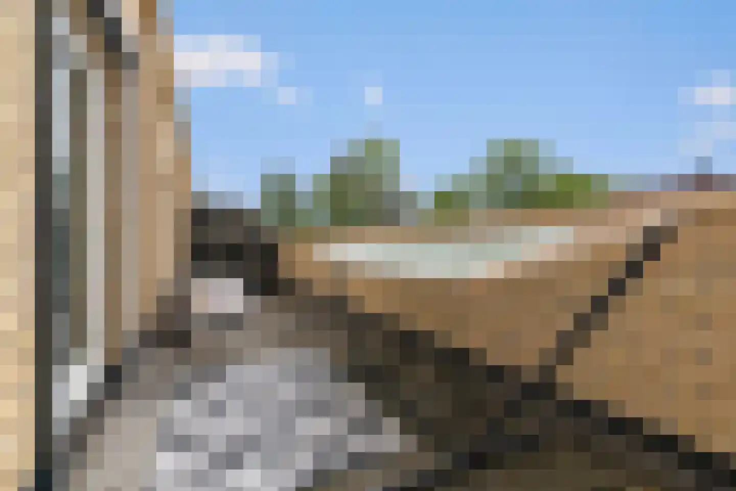 Rijksdaalderplantsoen 24 Utrecht thumbnail 30
