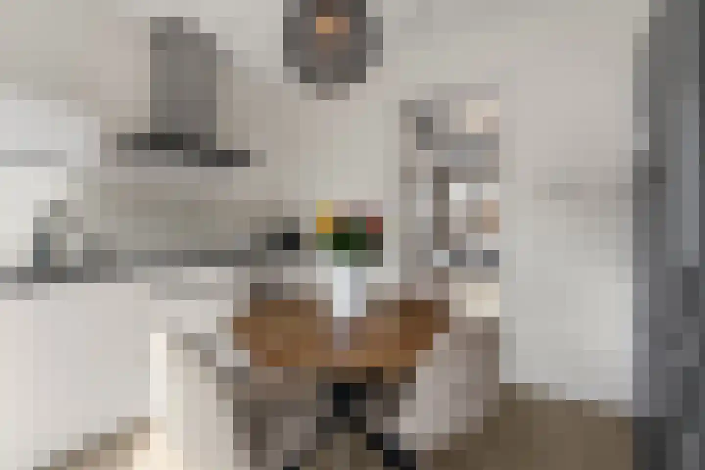 Rijksdaalderplantsoen 24 Utrecht thumbnail 5