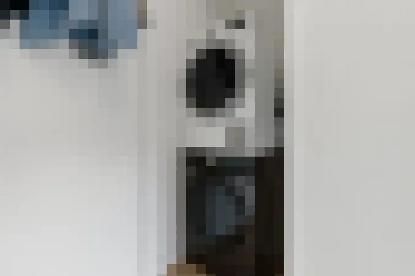 Rijksdaalderplantsoen 24 Utrecht thumbnail 9