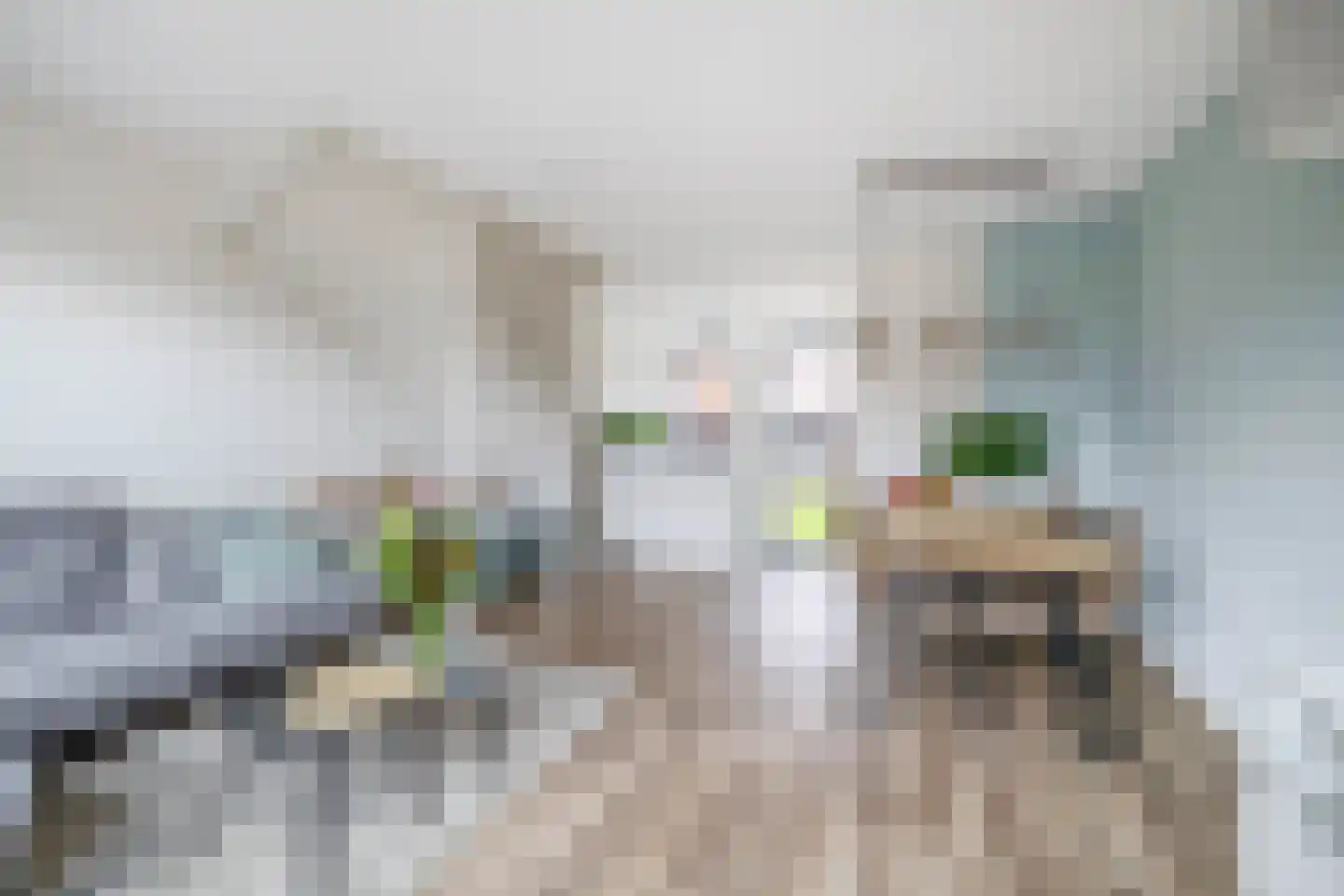 Rijksdaalderplantsoen 3 Utrecht thumbnail 18