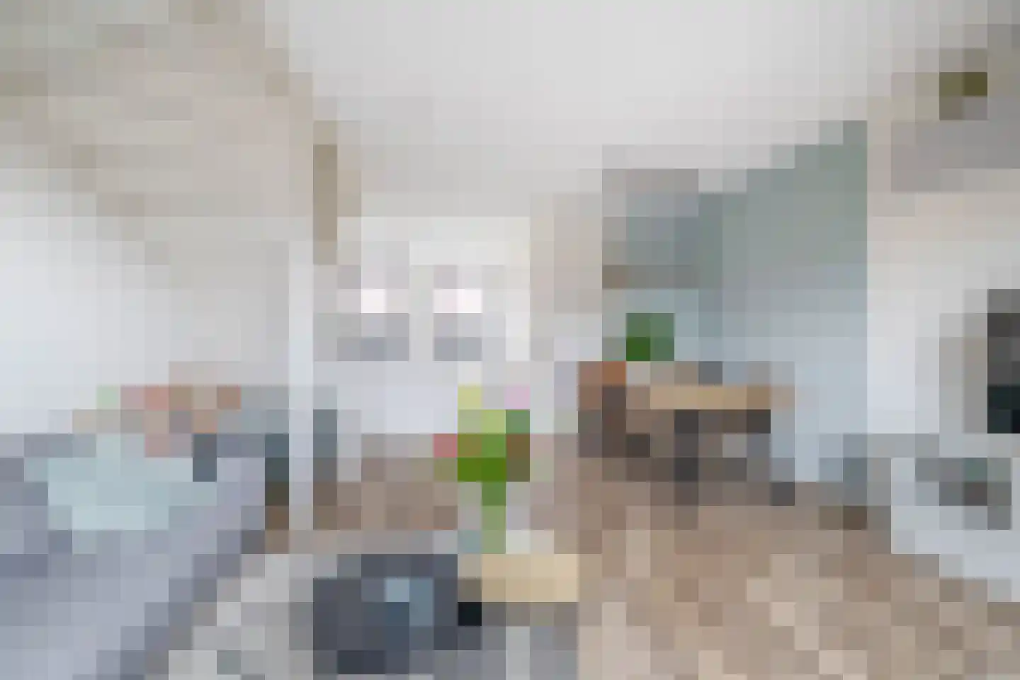 Rijksdaalderplantsoen 3 Utrecht thumbnail 19