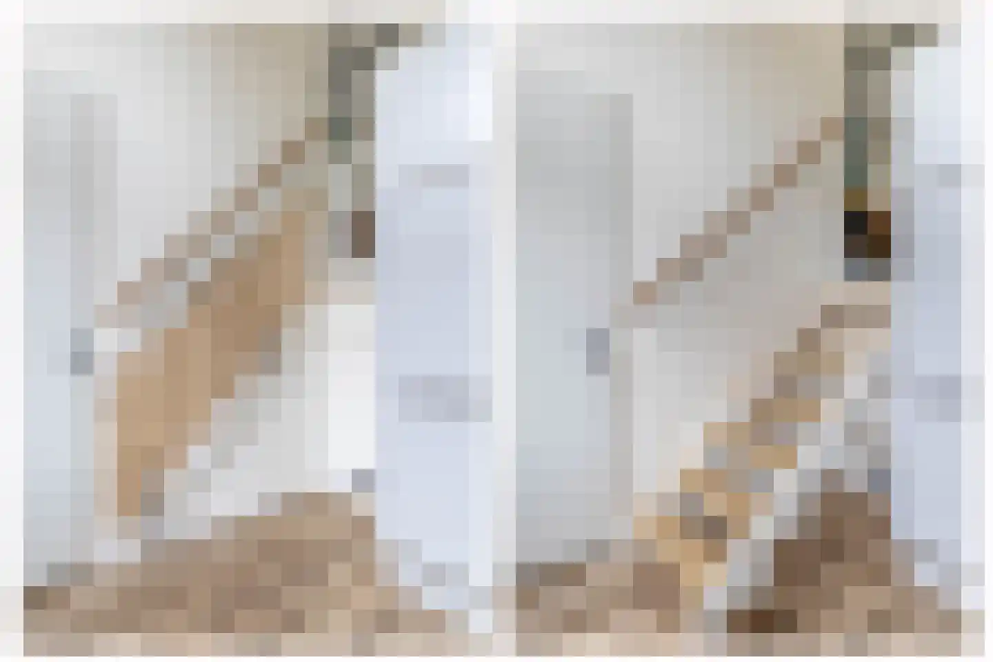 Rijksdaalderplantsoen 3 Utrecht thumbnail 27