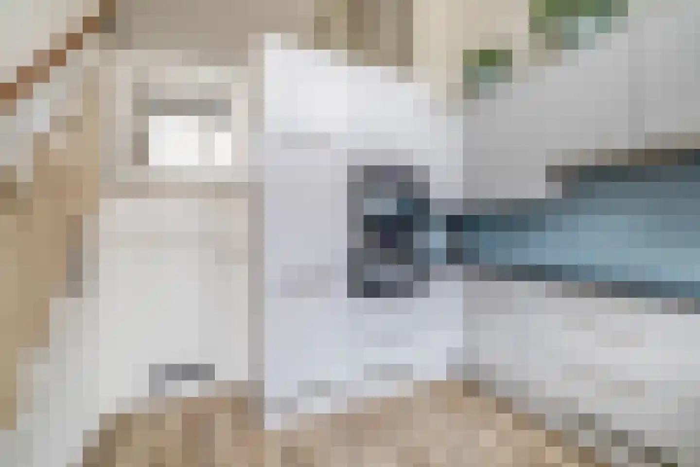 Rijksdaalderplantsoen 3 Utrecht thumbnail 29