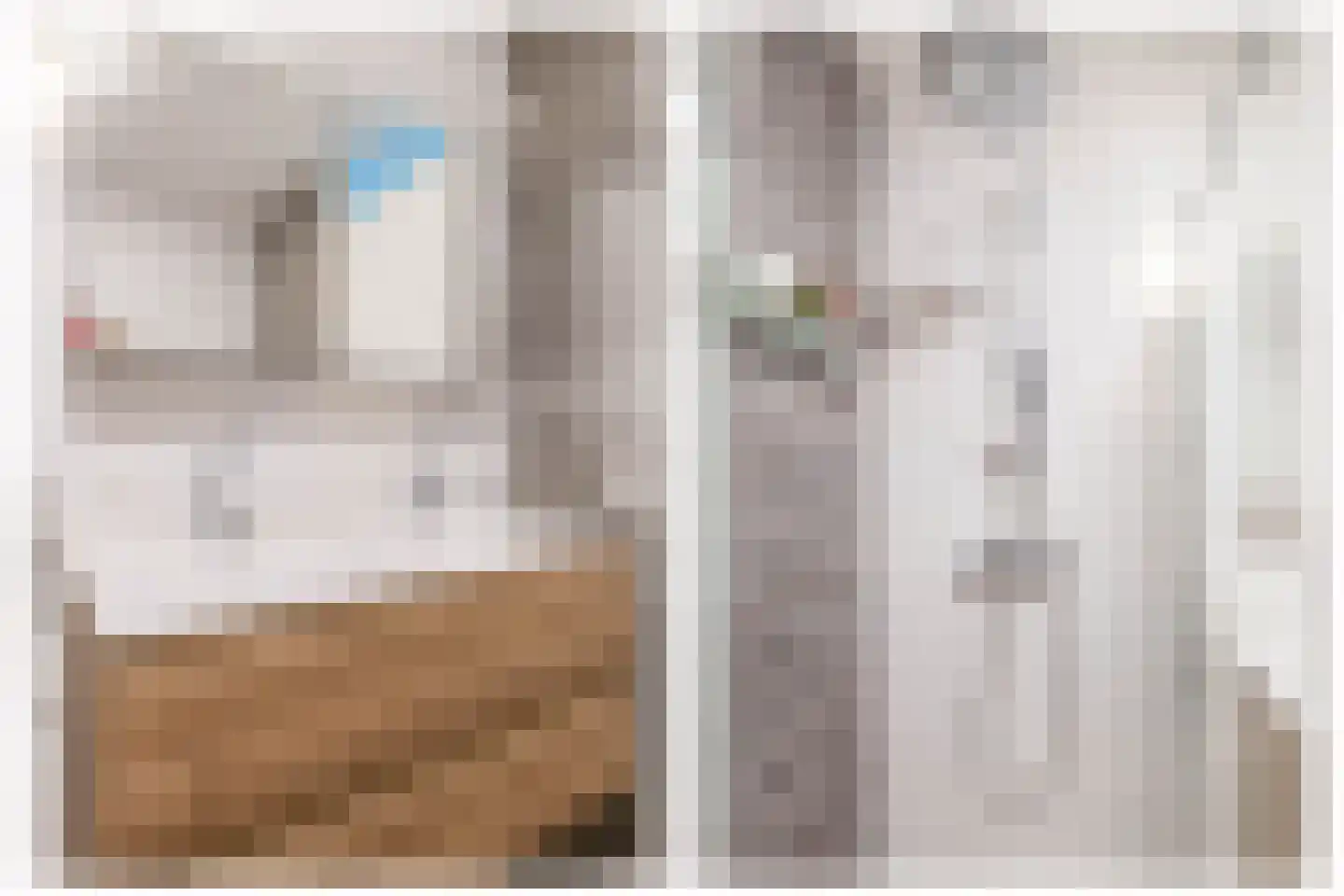 Rijksdaalderplantsoen 3 Utrecht thumbnail 45