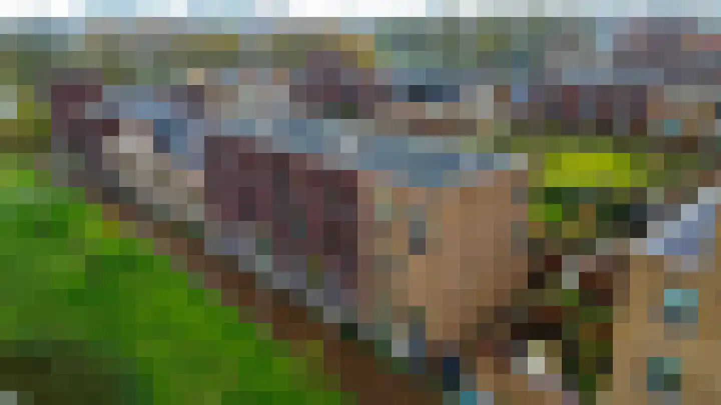 Rijksdaalderplantsoen 3 Utrecht thumbnail 64