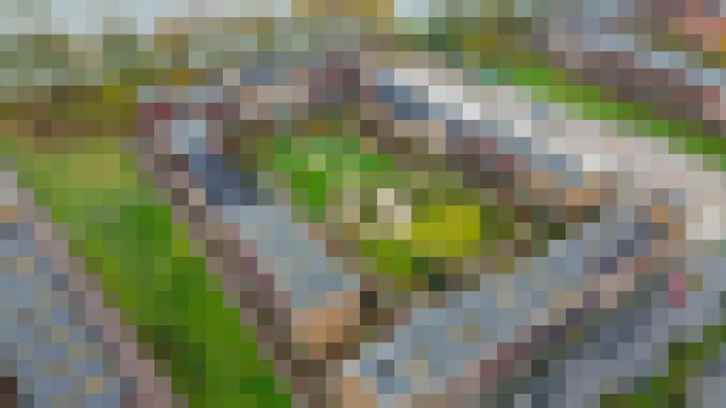 Rijksdaalderplantsoen 3 Utrecht thumbnail 69