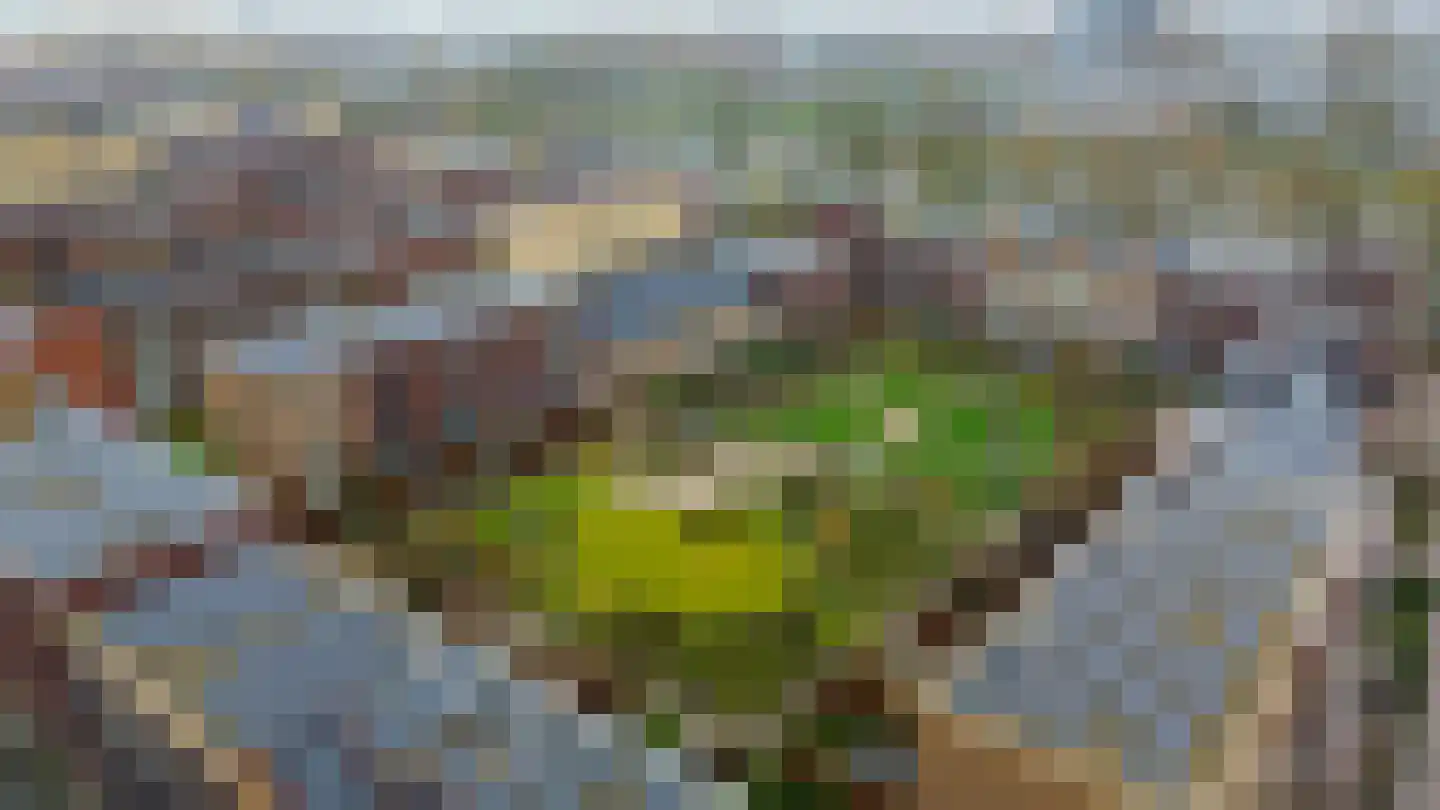 Rijksdaalderplantsoen 3 Utrecht thumbnail 71