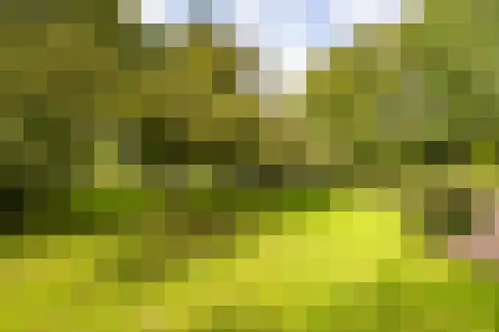 Rijksstraatweg 10 Haren Gn thumbnail 5