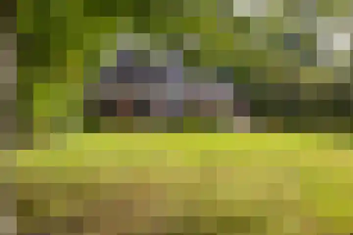 Rijksstraatweg 10 Haren Gn thumbnail 66