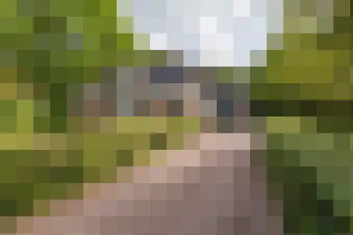 Rijksstraatweg 10 Haren Gn thumbnail 69