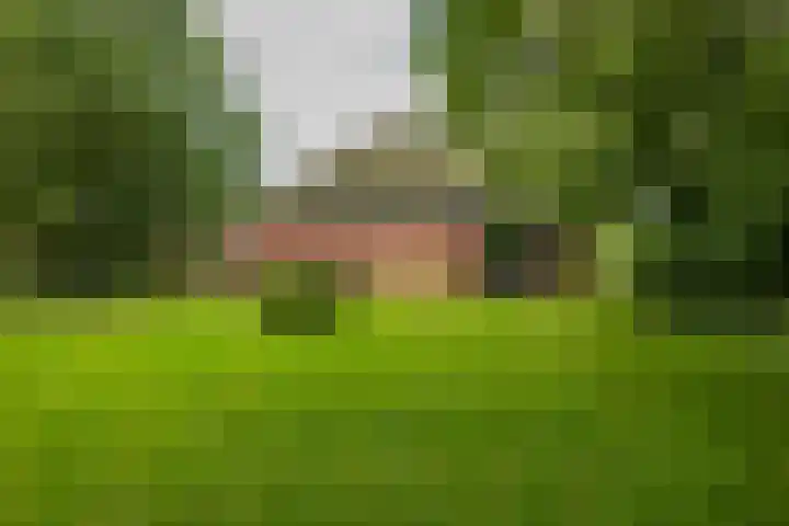 Rijksstraatweg 10 Haren Gn thumbnail 74