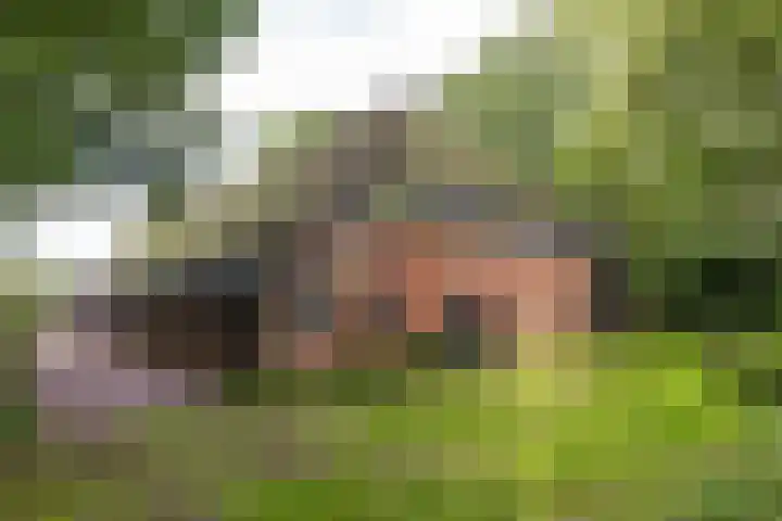 Rijksstraatweg 10 Haren Gn thumbnail 75