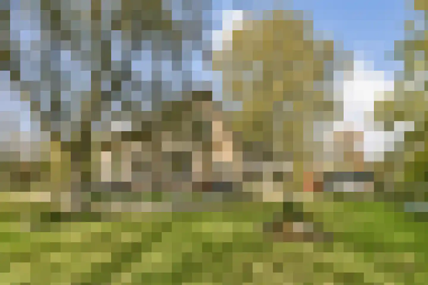 Rijksstraatweg 100 Dordrecht thumbnail 7