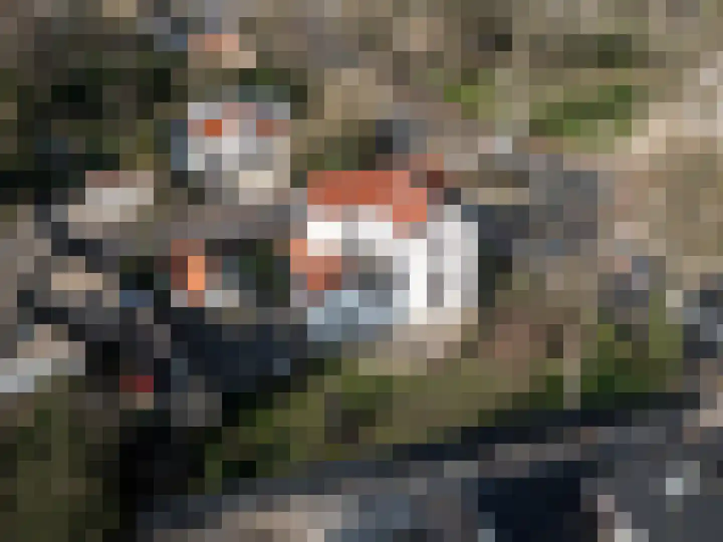 Rijksstraatweg 101 Twello thumbnail 41