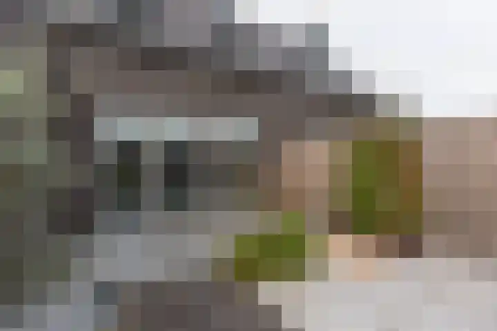 Rijksstraatweg 102 e Ridderkerk thumbnail 31