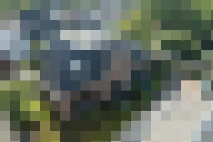 Rijksstraatweg 102 Loenen aan de Vecht thumbnail 40