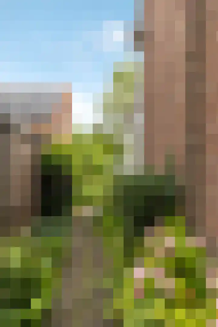 Rijksstraatweg 108 Ridderkerk thumbnail 4