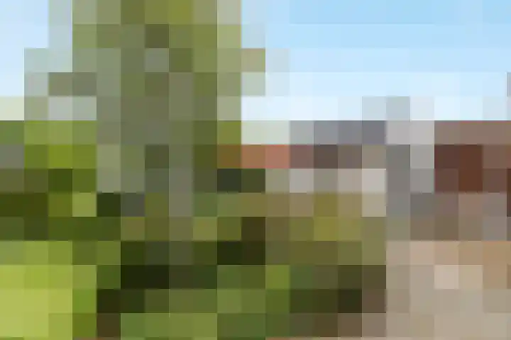 Rijksstraatweg 108 Ridderkerk thumbnail 7